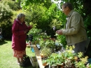 Irene and Mike at the plant stall
